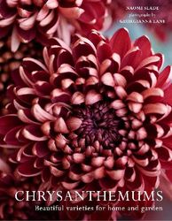 Chrysanthemums product image